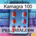 Kamagra 100 06